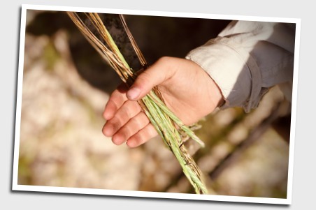 An aboriginal child holding native grass seeds
